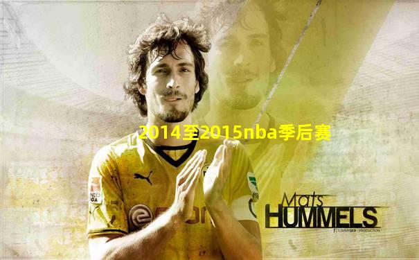 2014至2015nba季后赛