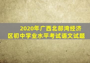 2020年广西北部湾经济区初中学业水平考试语文试题