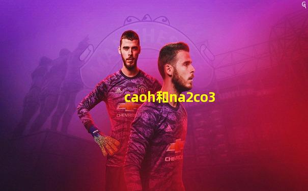 caoh和na2co3