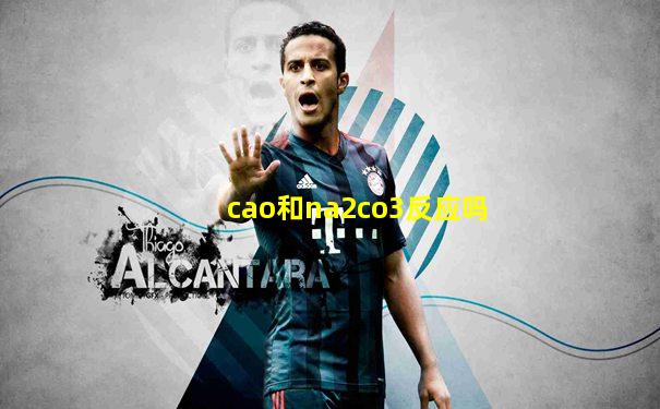 cao和na2co3反应吗