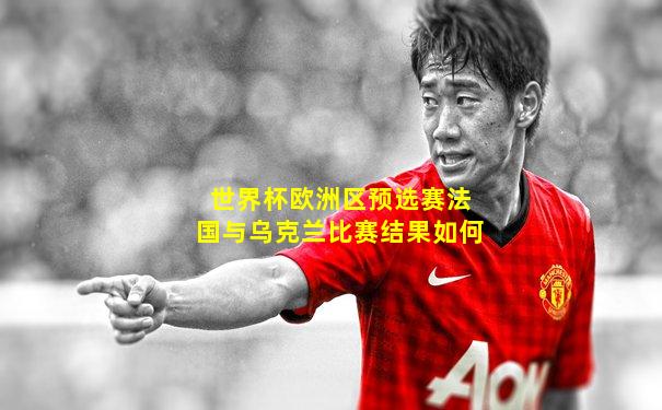 世界杯欧洲区预选赛法国与乌克兰比赛结果如何