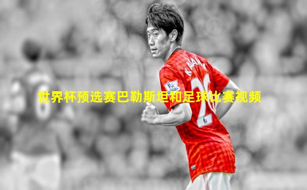 世界杯预选赛巴勒斯坦和足球比赛视频