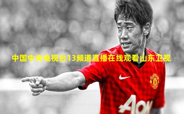 中国中央电视台13频道直播在线观看山东卫视
