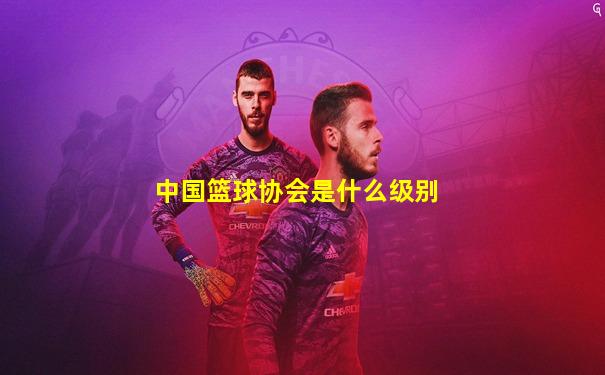 中国篮球协会是什么级别