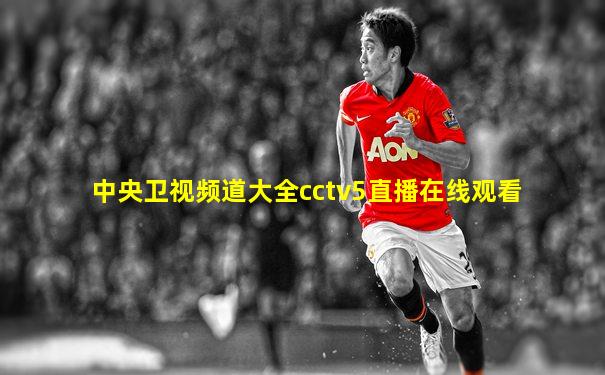 中央卫视频道大全cctv5直播在线观看