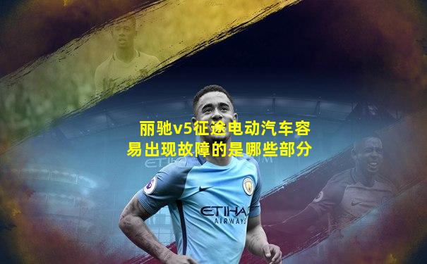丽驰v5征途电动汽车容易出现故障的是哪些部分