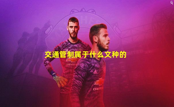 交通管制属于什么文种的