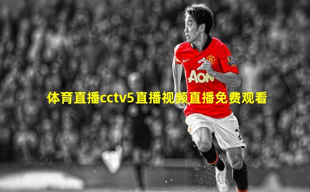 体育直播cctv5直播视频直播免费观看
