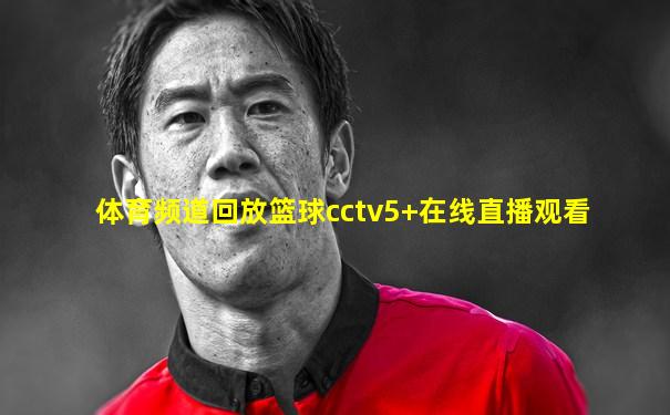 体育频道回放篮球cctv5+在线直播观看