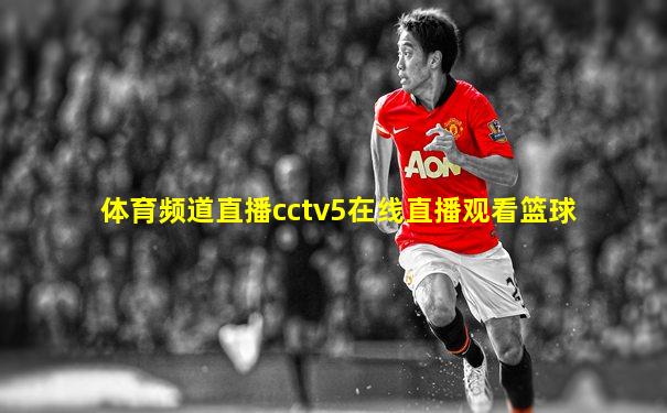 体育频道直播cctv5在线直播观看篮球