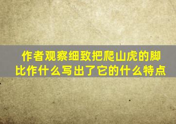 作者观察细致把爬山虎的脚比作什么写出了它的什么特点