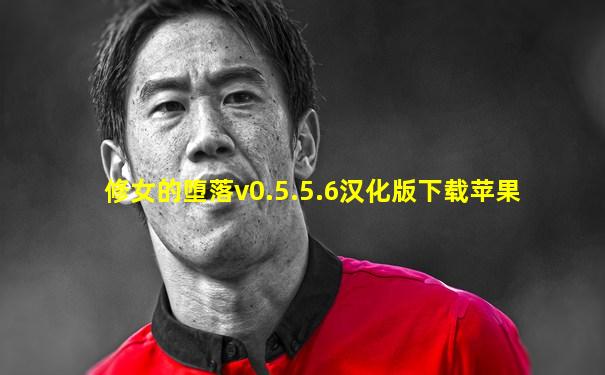 修女的堕落v0.5.5.6汉化版下载苹果