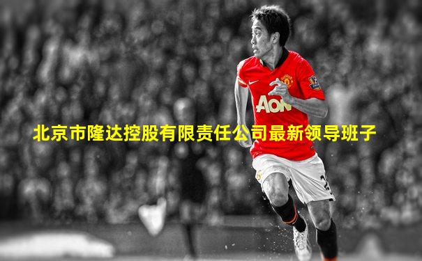 北京市隆达控股有限责任公司最新领导班子