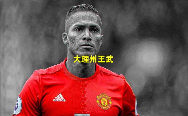 大理州王武