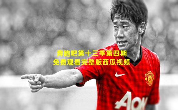 奔跑吧第十三季第四期免费观看完整版西瓜视频