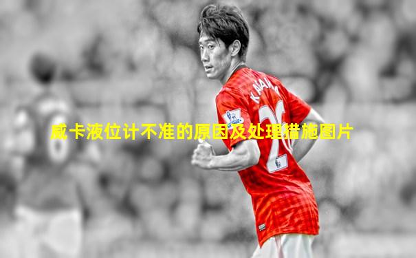 威卡液位计不准的原因及处理措施图片