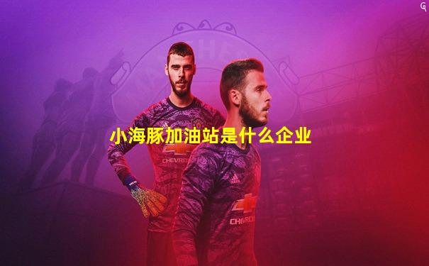 小海豚加油站是什么企业