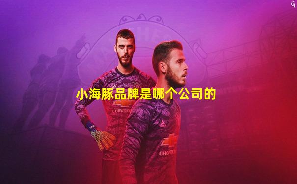 小海豚品牌是哪个公司的