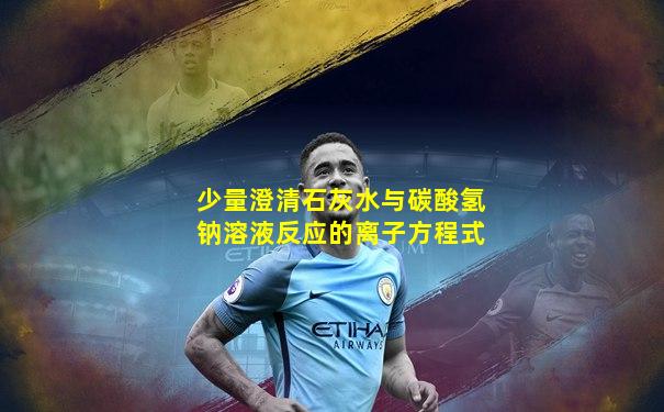少量澄清石灰水与碳酸氢钠溶液反应的离子方程式