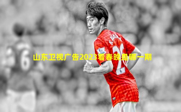 山东卫视广告2023看春晚是哪一期