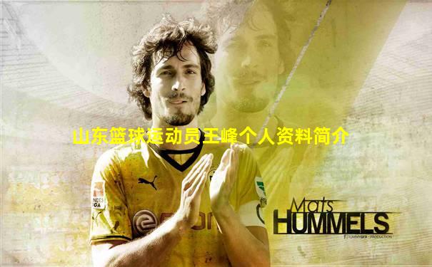 山东篮球运动员王峰个人资料简介