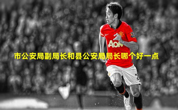 市公安局副局长和县公安局局长哪个好一点