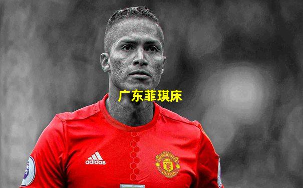广东菲琪床