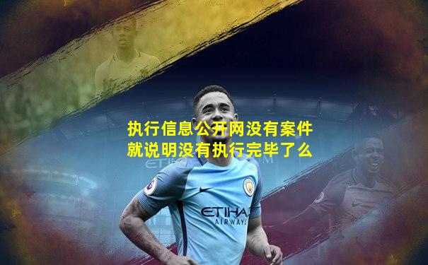 执行信息公开网没有案件就说明没有执行完毕了么
