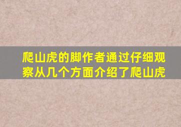 爬山虎的脚作者通过仔细观察从几个方面介绍了爬山虎