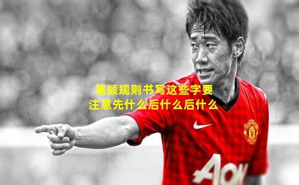 笔顺规则书写这些字要注意先什么后什么后什么