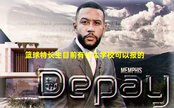 篮球特长生目前有什么学校可以报的