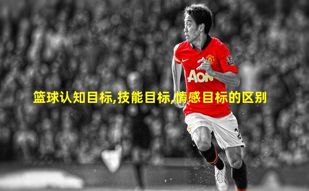 篮球认知目标,技能目标,情感目标的区别