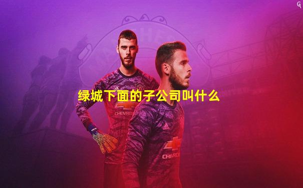 绿城下面的子公司叫什么