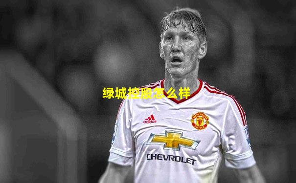 绿城控股怎么样