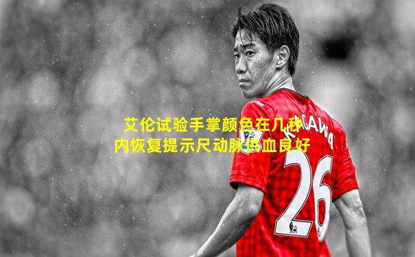 艾伦试验手掌颜色在几秒内恢复提示尺动脉供血良好