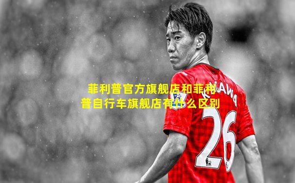 菲利普官方旗舰店和菲利普自行车旗舰店有什么区别