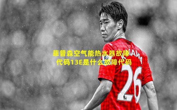 菲普森空气能热水器故障代码13E是什么故障代码