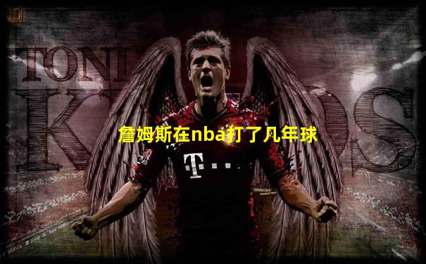 詹姆斯在nba打了几年球
