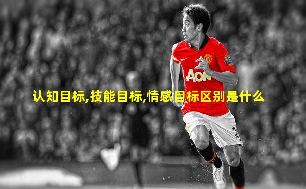认知目标,技能目标,情感目标区别是什么