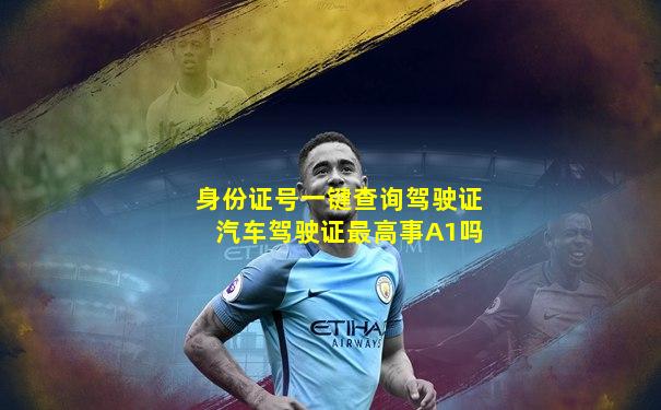 身份证号一键查询驾驶证汽车驾驶证最高事A1吗