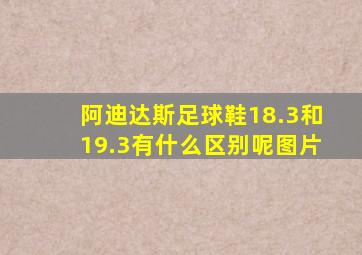阿迪达斯足球鞋18.3和19.3有什么区别呢图片